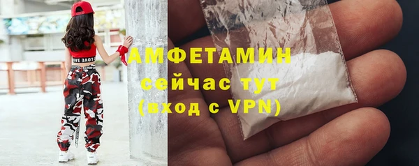 ГАЛЛЮЦИНОГЕННЫЕ ГРИБЫ Балахна