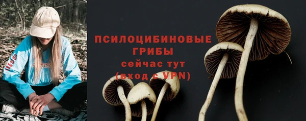 ГАЛЛЮЦИНОГЕННЫЕ ГРИБЫ Балахна
