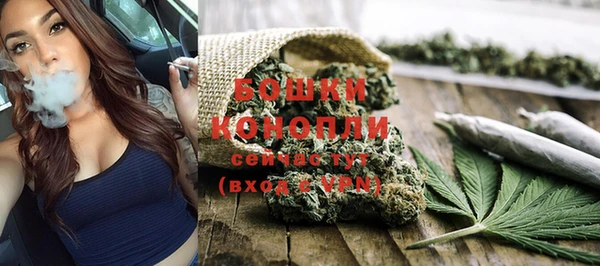 ГАЛЛЮЦИНОГЕННЫЕ ГРИБЫ Балахна