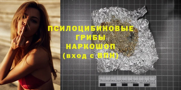 ГАЛЛЮЦИНОГЕННЫЕ ГРИБЫ Балахна