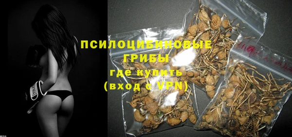 ГАЛЛЮЦИНОГЕННЫЕ ГРИБЫ Балахна