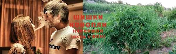 ГАЛЛЮЦИНОГЕННЫЕ ГРИБЫ Балахна